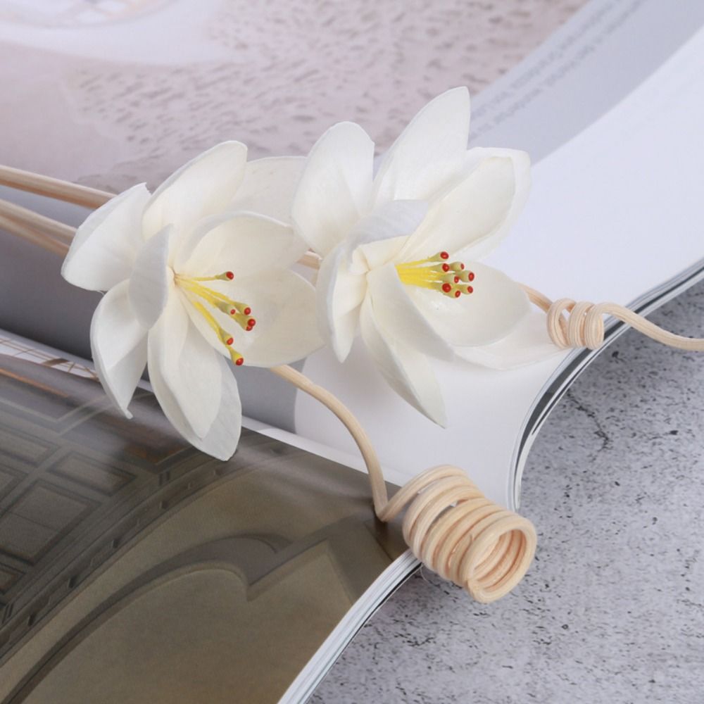 Multipurpose 5cm Natural Handm - Home Fragrance Incense ulasan dan harga