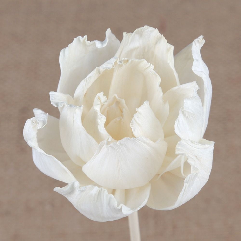 Multipurpose 5cm Natural Handm - Home Fragrance Incense ulasan dan harga