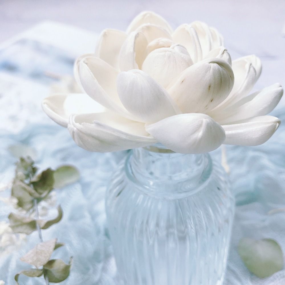 Expand Fragrance Flower For Ho - Home Fragrance Incense ulasan dan harga